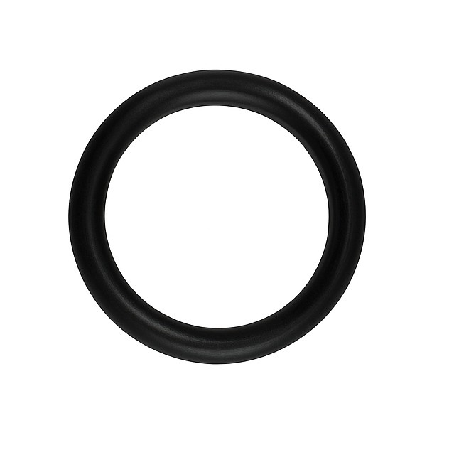 Rubber O-ring